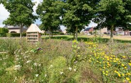 Provincie Overijssel Hofje met insectenhotel