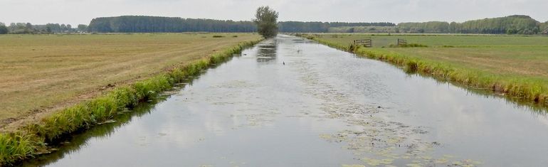 Nederland is een waterland. De meer dan 300.000 kilometer sloten en vaarten bieden enorme kansen voor verbetering van de biodiversiteit