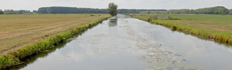 Nederland is een waterland. De meer dan 300.000 kilometer sloten en vaarten bieden enorme kansen voor verbetering van de biodiversiteit