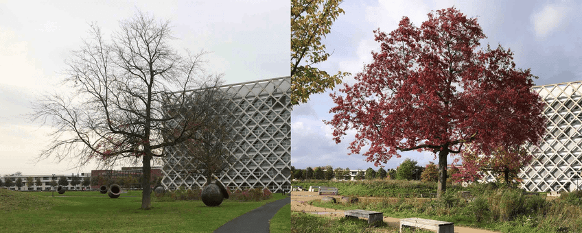 Moseik campus Wageningen University & Research op 31-10-2017 en 28-10-2023