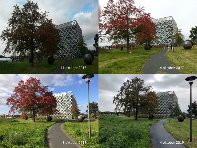 Moseik voor Atlasgebouw op de campus van Wageningen University