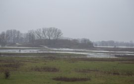 Overstromen van de zomerdijk bij de Loowaard