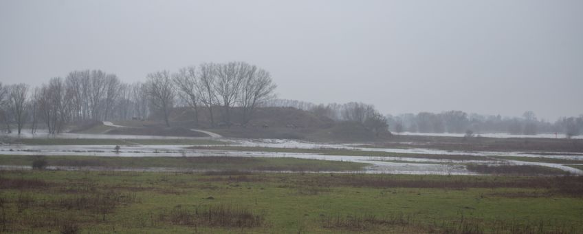 Overstromen van de zomerdijk bij de Loowaard