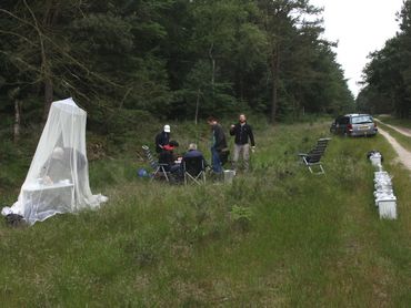 De vrijwilligers waren soms vele uren bezig om de vangsten te controleren en de vlinders weer vrij te laten