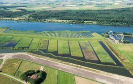 Projectbureau IJsseldelta Rietmoeras IJsseldelta