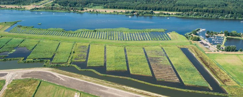 Rietmoeras IJsseldelta