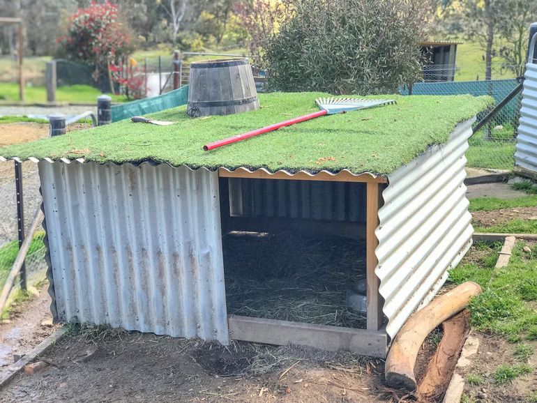 Een draagbaar wombatverblijf bij Sleepy Burrows Wombat Sanctuary