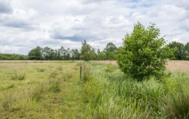 Jaap Zoet, provincie Gelderland beekdal bij Epe