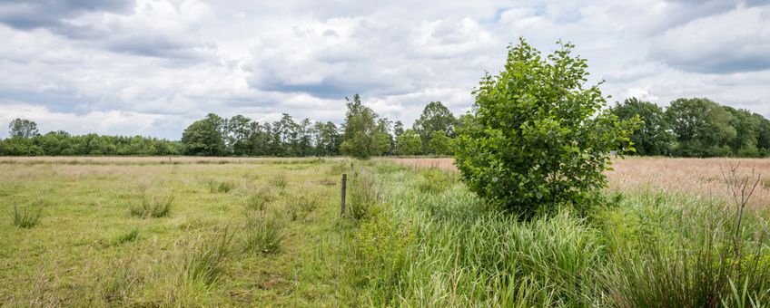 beekdal bij Epe