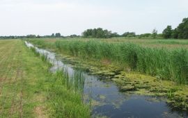 Sloot in de Wieden, Overijssel