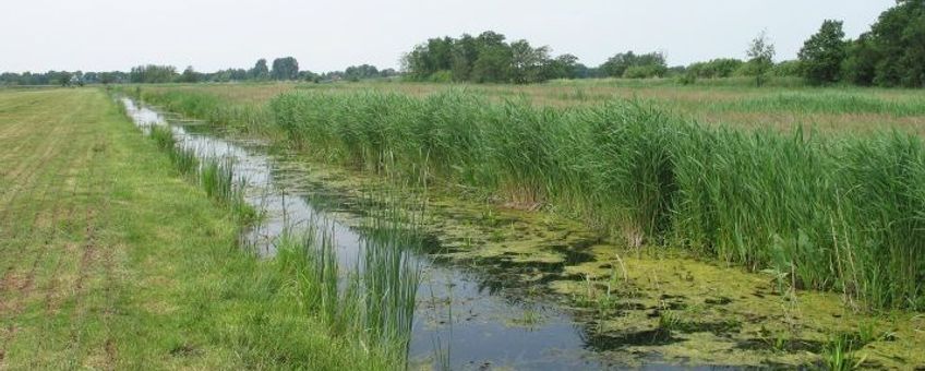 Sloot in de Wieden, Overijssel