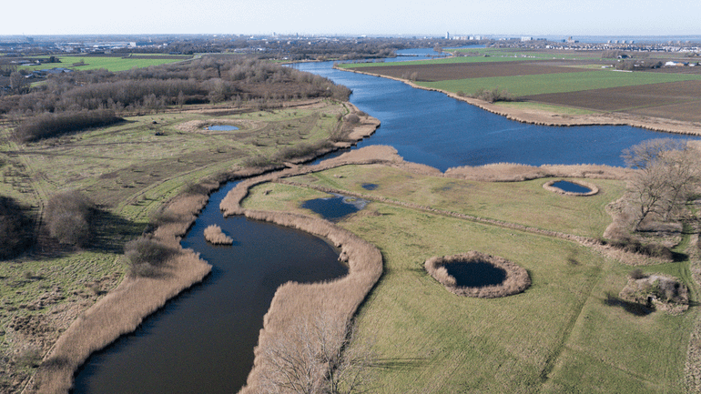 Het Gat van Pinte is een gebied van kreken, rietlanden en graslanden