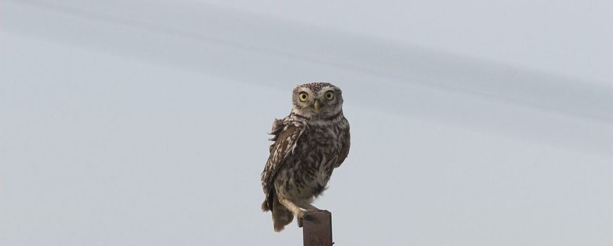 Natuurjournaal 30 december 2025