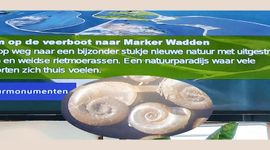infoscherm op de boot naar Marker Wadden en (inzet) exemplaren van de Amerikaanse gladde schijfhoren