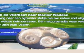 infoscherm op de boot naar Marker Wadden en (inzet) exemplaren van de Amerikaanse gladde schijfhoren