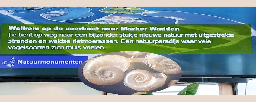 infoscherm op de boot naar Marker Wadden en (inzet) exemplaren van de Amerikaanse gladde schijfhoren