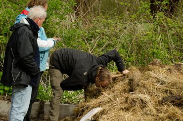 Om zoveel mogelijk soorten te vinden werden allerlei verschillende technieken toegepast en biotopen bemonsterd. Hier wordt de mesthoop bij het Groene Huis onderzocht op kleine beestjes