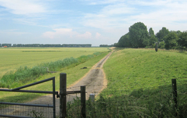 Rhoonsestort