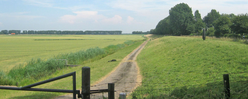 Rhoonsestort