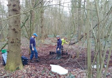 Onderzoekers halen plaggen uit een verzuurd bos