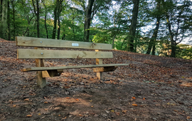 Provincie Utrecht Bankje in het bos