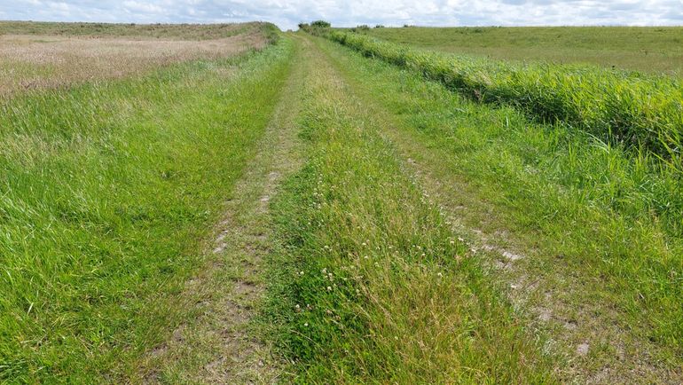Geschikt leefgebied: variatie in structuur van het landschap en in de hoogte van de begroeiing, bloemaanbod aanwezig in de vorm van diverse klavers en wikke. Hier zijn in totaal zes hommelsoorten aangetroffen, waaronder de moshommel