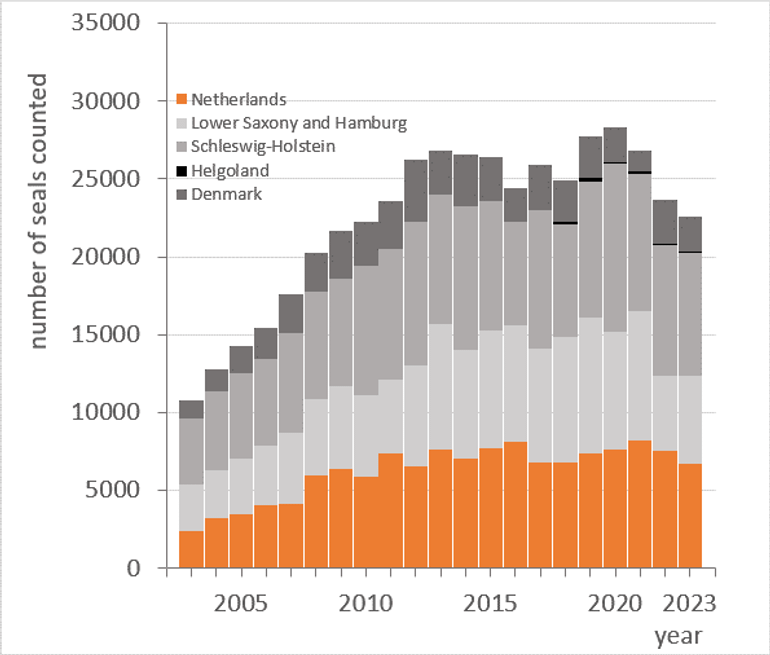 Aantallen gewone zeehonden, geteld in de internationale Waddenzee 1990-2023