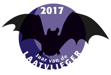 2017 is door de Zoogdiervereniging uitgeroepen tot het Jaar van de Laatvlieger