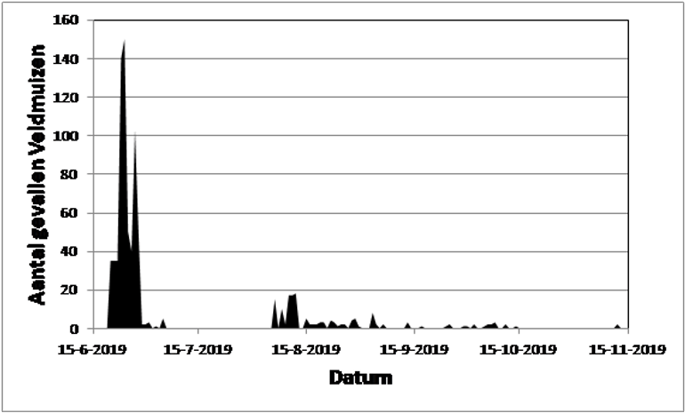 Aantal dood gevonden Veldmuizen per dag in het aquaduct van Hommerts in de periode half juni tot half november 2019