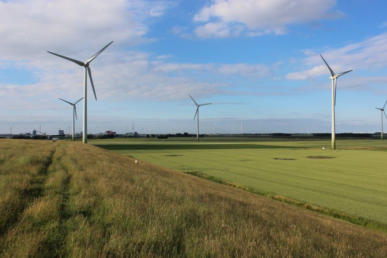 Windturbinepark bij Delfzijl waar in de afgelopen jaren regelmatig Bruine en Grauwe kiekendieven broedden en waarvan verschillende door GKA gezenderd werden