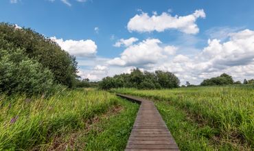 Wandelpad in Nationaal Park Hoge Kempen, vlakbij Antwerpen