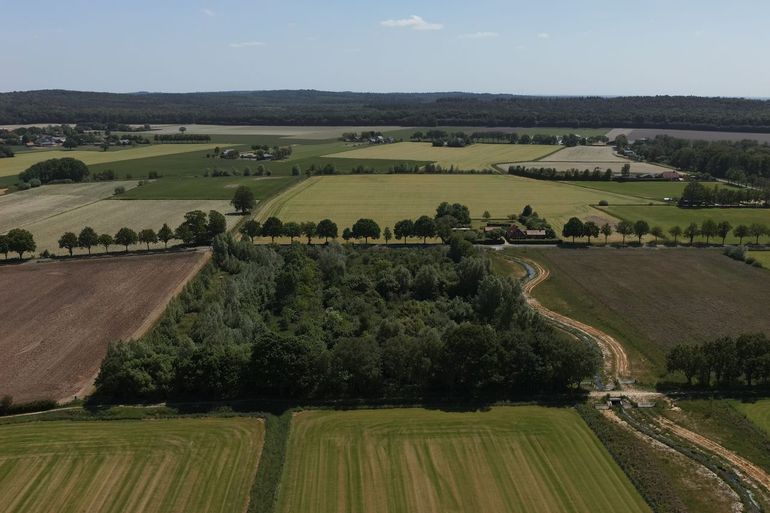 Het studiegebied, voedselbos Ketelbroek