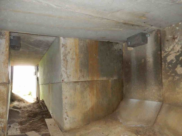 De betonnen wanden van veel vleermuiskelders bieden vleermuizen weinig hang- en wegkruipmogelijkheden