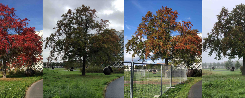 leadfoto van moseiken campus Wageningen University