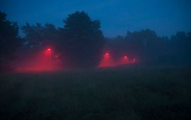 Kamiel Spoelstra, NIOO-KNAW Rood licht