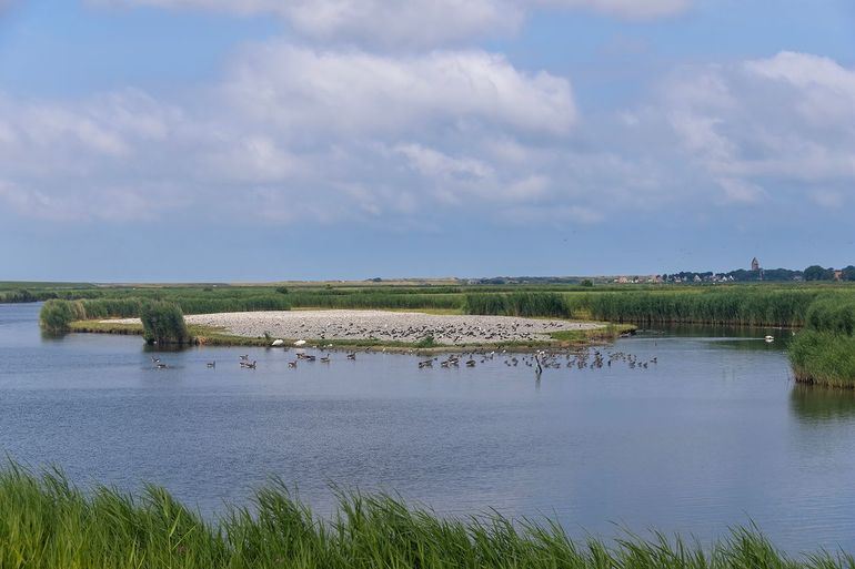 Blik op het schelpeneiland vanaf het fietspad