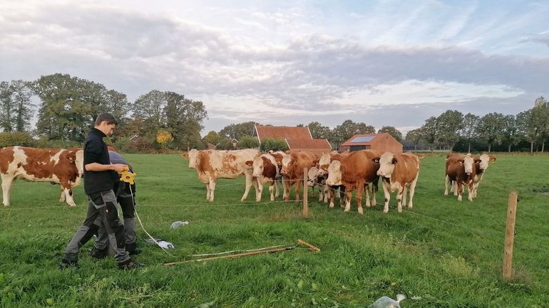 Productiemeting in bemestingsproef PPS kruidenrijk grasland