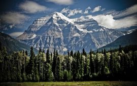 Canada, mountain, forest