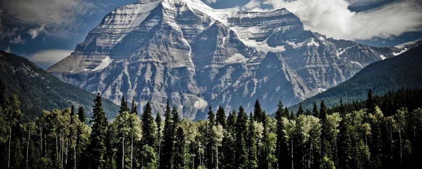 Canada, mountain, forest