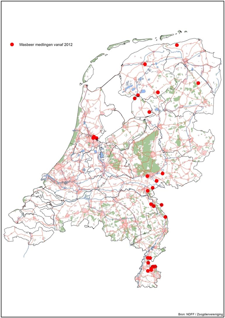 Meldingen van wasberen sinds 2012