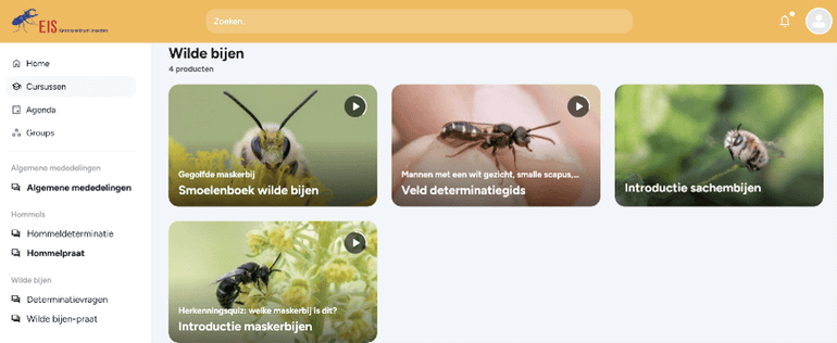 Een impressie van de nieuwe cursussen over bijen op de EIS-academie en de digitale veldgids
