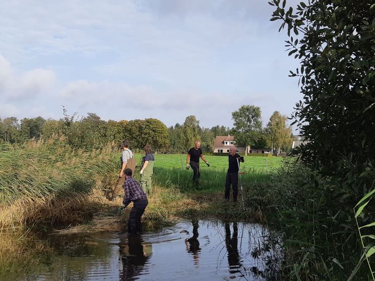 Poelenonderhoud door Poelenwerkgroep Apeldoorn