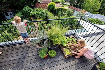 Balkon met moestuinbakken