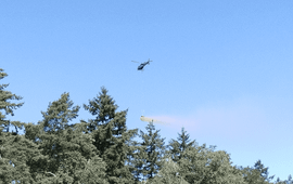 Bosgroepen Verspreiding schelpengruis met helikopter