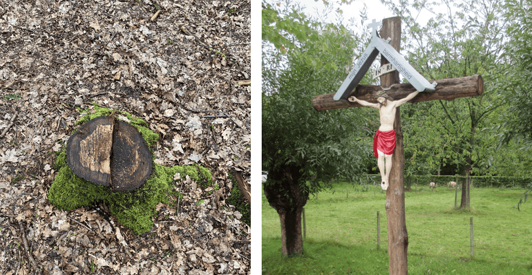 De boom die ruimte moest geven aan meer biodiversiteit zorgde voor het hout van dit takkenkruis