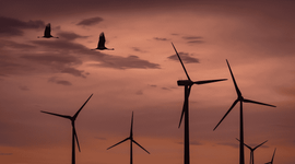 Windmolens