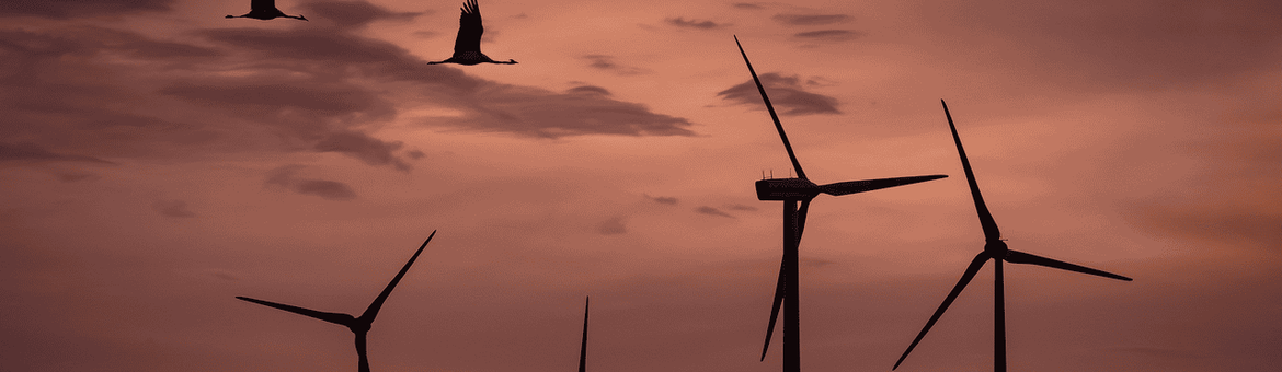 Windmolens