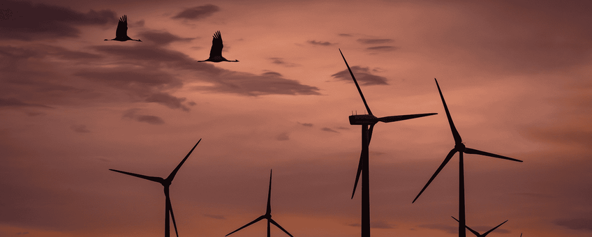 Windmolens