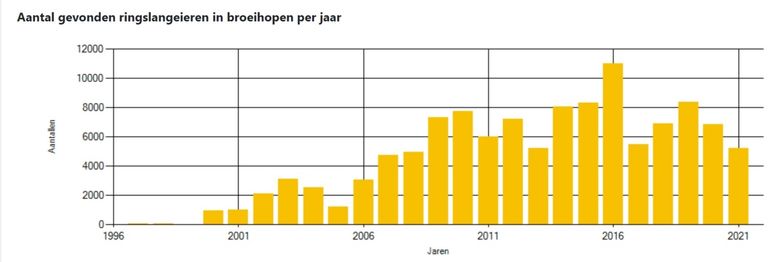 Aantal gevonden ringslangeieren in broeihopen per jaar