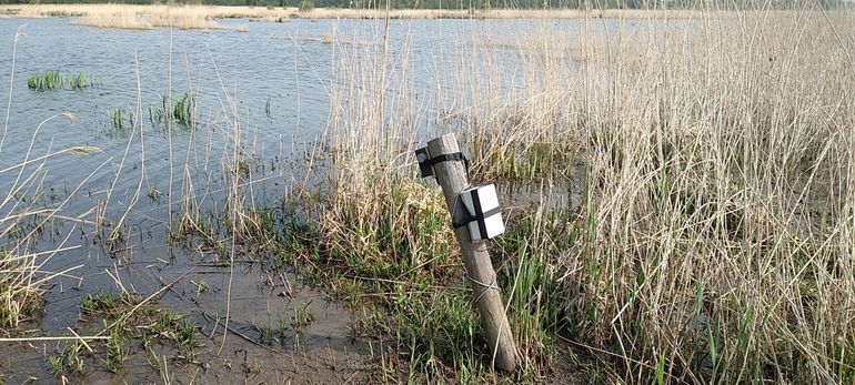 Kastje voor akoestische monitoring in de Biesbosch